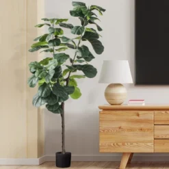 Forever Leaf 72" Artificial Fiddle Tree In Black Pot 2 Stem, Indoor Artificial Plant For Home Decor -Home Decoration Store GUEST 07aac8a5 99ee 4988 a42c 50fb2a711463