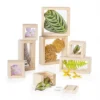 Guidecraft Clear Treasure Blocks - Set Of 8 -Home Decoration Store GUEST 1178b693 cce6 463d b25d 3c8aace91bab