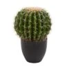 Nearly Natural 14-in Cactus Artificial Plant -Home Decoration Store GUEST 2d08d3bd 9ec3 43f9 be5c 7cb4391c1684