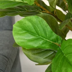 HOMCOM 5FT Artificial Fiddle Leaf Fig Tree, Faux Decorative Plant In Nursery Pot For Indoor Or Outdoor Décor -Home Decoration Store GUEST 3142cda3 86d1 4436 8dad 9741a107ffa0