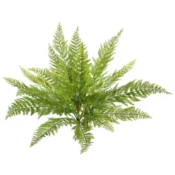 Vickerman Artificial Lace Fern Bush -Home Decoration Store GUEST 7b5fd73a f4be 4881 ab79 64014417fe69