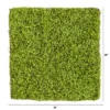 Nearly Natural 20-in X 20-in Duckweed Artificial Wall Mat -Home Decoration Store GUEST 86e4e146 4c53 4334 b10f 0b2cfb9b1fc0