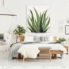 Vintage Agave By Modern Tropical -Home Decoration Store GUEST af80f5a5 f9b2 4406 abc8 66e018dd4989