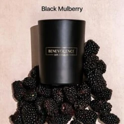 Benevolence LA Black Wax Scented Candle -Home Decoration Store GUEST b029f9ca a7fb 4f78 848d 2ecbce3ad358