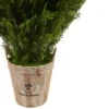 3' Cedar Artificial Plant In Barrel Planter - Nearly Natural -Home Decoration Store GUEST b22e8e23 8f9e 4996 8535 da85334c271f