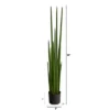 Nearly Natural 5-ft Sansevieria Snake Artificial Plant 1 Nearly Natural 5-ft Sansevieria Snake Artificial Plant -Home Decoration Store GUEST c571309b bb58 4d8f ae44 3d0b168dfcdb