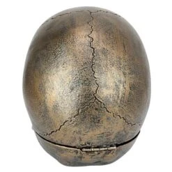 Design Toscano Memento Mori Skull Clock -Home Decoration Store GUEST e4314e03 e5b3 4a93 b9f1 68a1655ff0ef