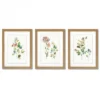 Flower Market By PI Creative Art - 3 Piece Gallery Framed Print Art Set -Home Decoration Store GUEST f92cbf64 0a8a 4452 8edd dcbe8f32c126