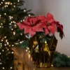 Northlight 14.5" Dark Pink Artificial Christmas Poinsettia With Gold Wrapped Base -Home Decoration Store GUEST ffcf3b47 dbc5 40fe bb87 07a9eadd7c83